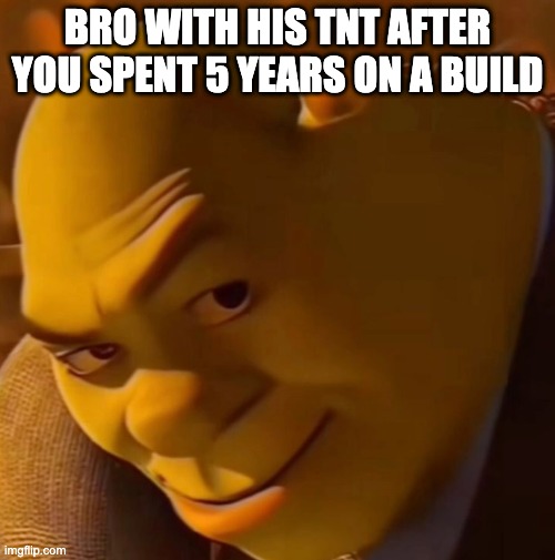 Shrek | Bro with his TNT after you spent 5 years on a build | image tagged in shrek,tnt,minecraft,bro,explosion,side eye | made w/ Imgflip meme maker