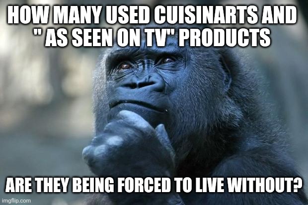 Deep Thoughts | How many used Cuisinarts and 
" As Seen On Tv" products Are they being forced to live without? | image tagged in deep thoughts | made w/ Imgflip meme maker