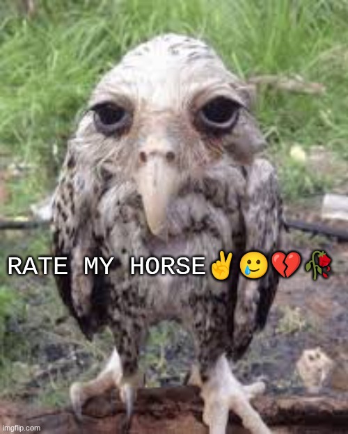 Rate my horse.jpeg | rate my horse✌🥲💔🥀 | image tagged in rate my horse jpeg | made w/ Imgflip meme maker