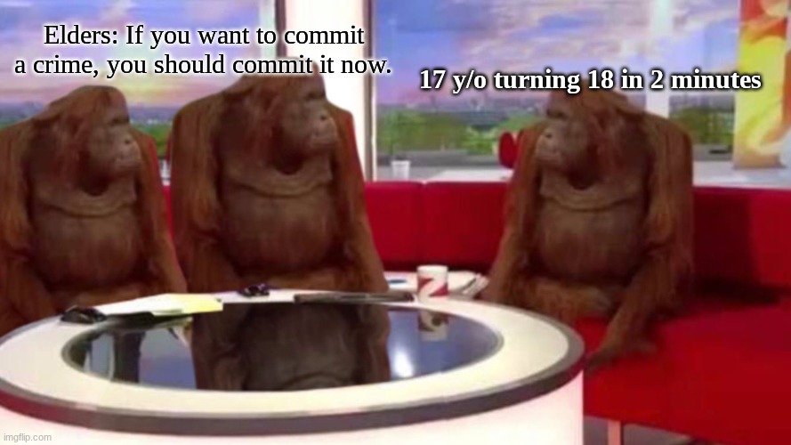 To submit your image you must certify its integrity by checking the box. | Elders: If you want to commit a crime, you should commit it now. 17 y/o turning 18 in 2 minutes | image tagged in orangutan interview,orange | made w/ Imgflip meme maker