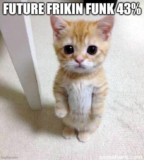 ... | Future Frikin Funk 43% | image tagged in memes,cute cat | made w/ Imgflip meme maker