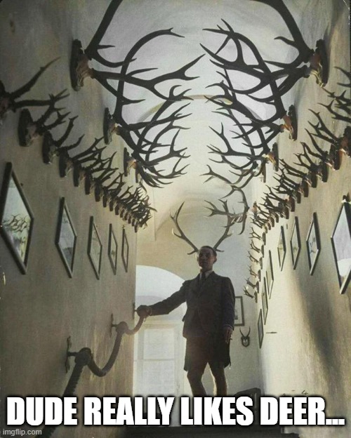 Deer Fan | dude really likes deer... | image tagged in v1sy90pgw51h1 jpeg | made w/ Imgflip meme maker