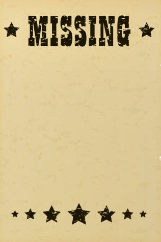 Missing Blank Meme Template