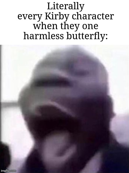 IS THAT THE GRIM REAPER?! | Literally every Kirby character when they one harmless butterfly: | image tagged in for the love of god another guy screaming,memes,funny,kirby | made w/ Imgflip meme maker