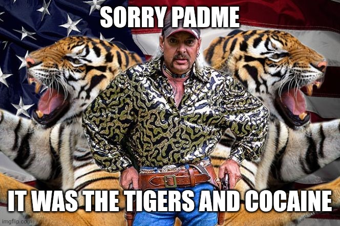 tiger king | Sorry Padme It was the tigers and cocaine | image tagged in tiger king | made w/ Imgflip meme maker