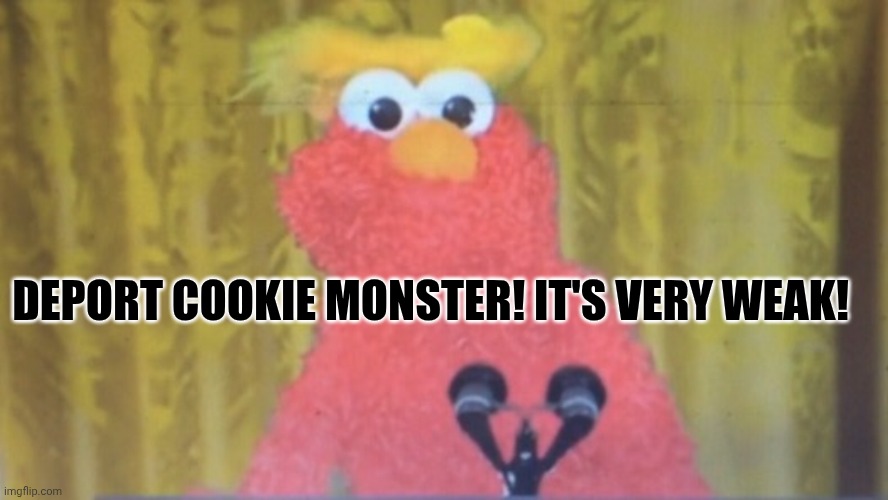 Trump Elmo | Deport cookie monster! It's very weak! | image tagged in president elmo | made w/ Imgflip meme maker