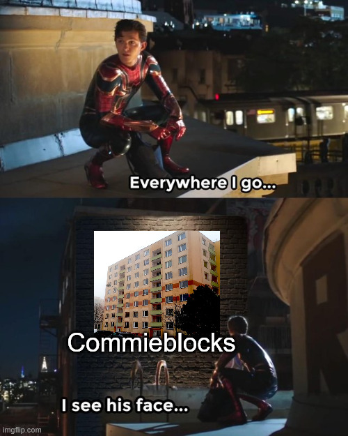 Everywhere I go I see his face | Commieblocks | image tagged in everywhere i go i see his face,europe,central europe,slavs,relatable memes | made w/ Imgflip meme maker