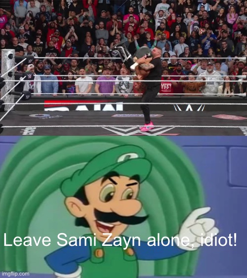 Mama Luigi wants Sami Zayn to be left alone | Leave Sami Zayn alone, idiot! | image tagged in sami zayn,wwe,mama luigi,luigi,mario | made w/ Imgflip meme maker