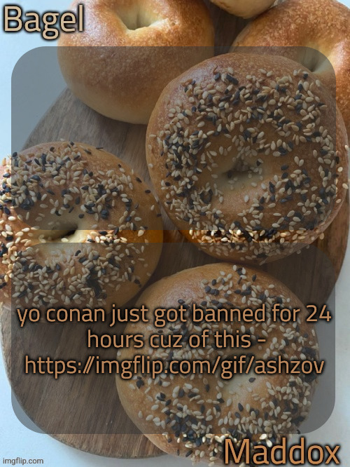what the hell happened :( | yo conan just got banned for 24

 hours cuz of this - https://imgflip.com/gif/ashzov | image tagged in bagel and maddox shared temp | made w/ Imgflip meme maker