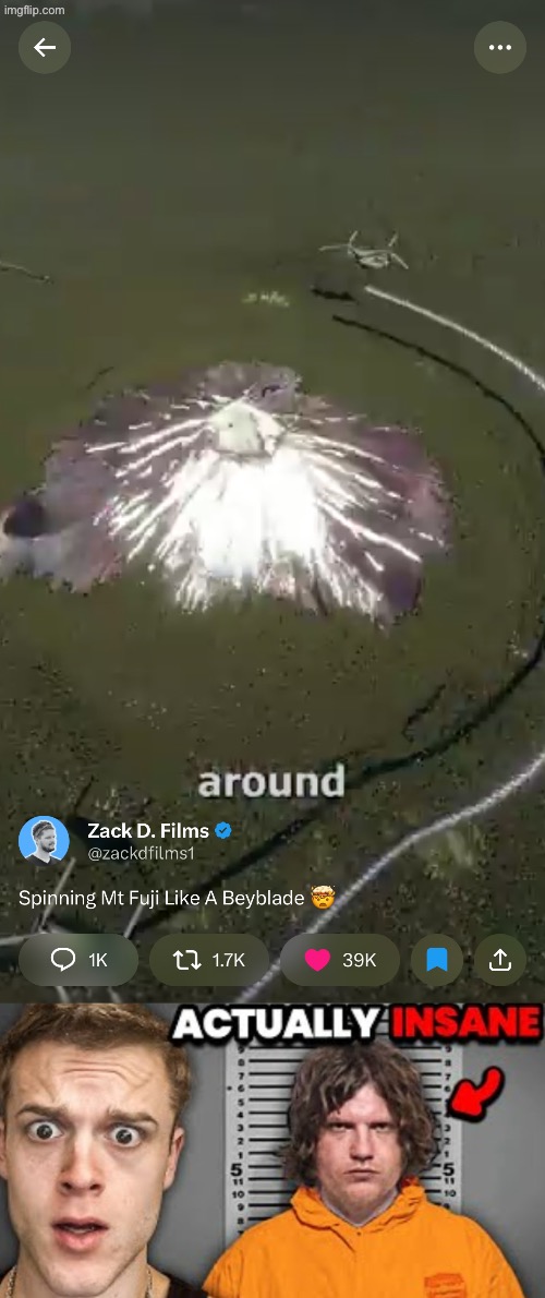 image tagged in actually insane | made w/ Imgflip meme maker