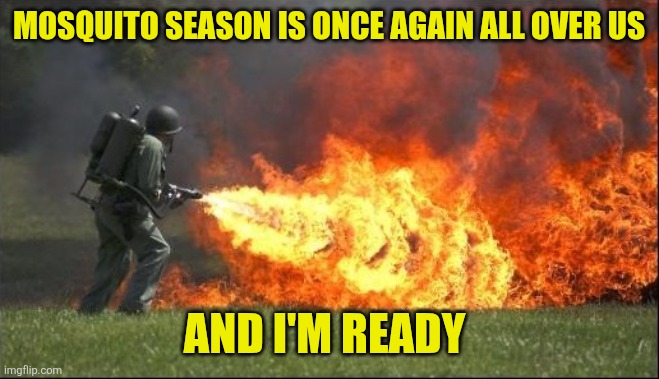 Kill it with fire | Mosquito season is once again all over us; And I'm ready | image tagged in kill it with fire | made w/ Imgflip meme maker