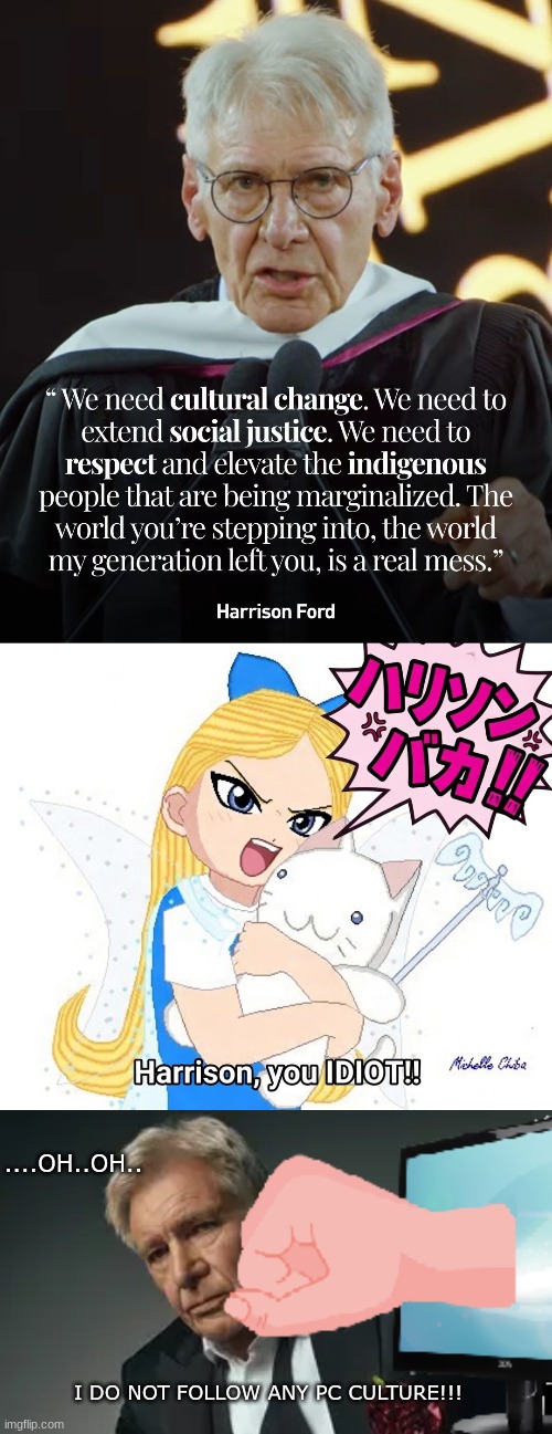 HARRISON YOU IDIOT!!! Micki Chiba VS Harrison Ford | ....oh..oh.. I DO NOT FOLLOW ANY PC CULTURE!!! | image tagged in harrison on the dark side jpg,harrison ford,micki chiba,you idiot,punches though the screen,forth wall | made w/ Imgflip meme maker