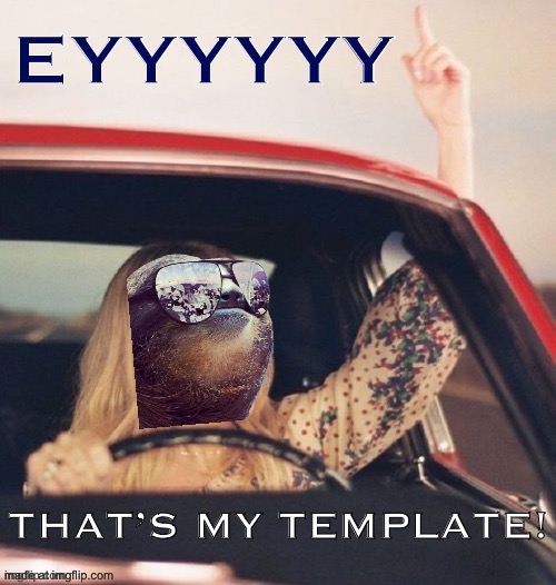 Sloth eyyyyyyy that’s my template | image tagged in sloth eyyyyyyy that s my template | made w/ Imgflip meme maker
