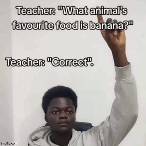 son | image tagged in son | made w/ Imgflip meme maker