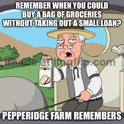 REMEMBER WHEN YOU COULD BUY A BAG OF GROCERIES WITHOUT TAKING OUT A SMALL LOAN? PEPPERIDGE FARM REMEMBERS | REMEMBER WHEN YOU COULD BUY A BAG OF GROCERIES WITHOUT TAKING OUT A SMALL LOAN? PEPPERIDGE FARM REMEMBERS | image tagged in memes,pepperidge farm remembers,memory,remember,inflation,debt | made w/ Imgflip meme maker