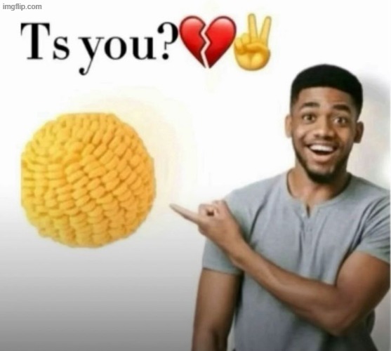 ts you? | image tagged in ts you | made w/ Imgflip meme maker