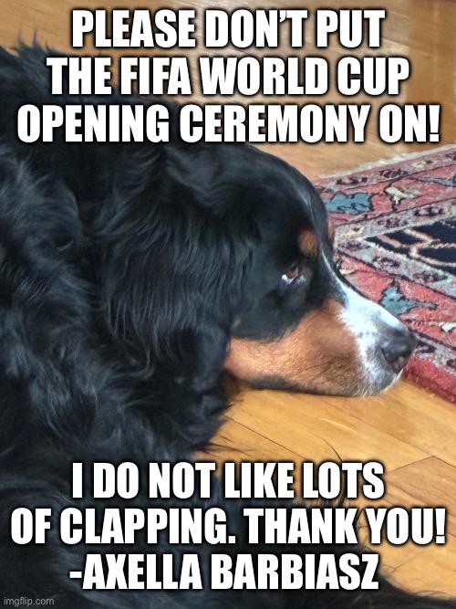 FIFA Statement From A Dog | Please don’t put the FIFA World Cup Opening Ceremony on! I do not like lots of clapping. Thank You!
-Axella Barbiasz | image tagged in dogs,fifa | made w/ Imgflip meme maker