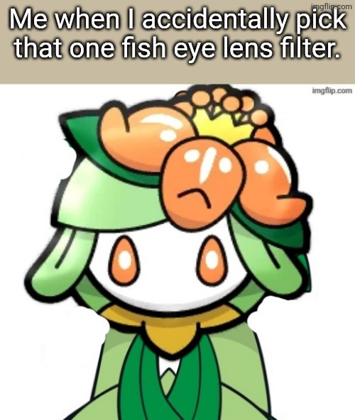 Fish Eye lens. | Me when I accidentally pick that one fish eye lens filter. | image tagged in big head lilly | made w/ Imgflip meme maker
