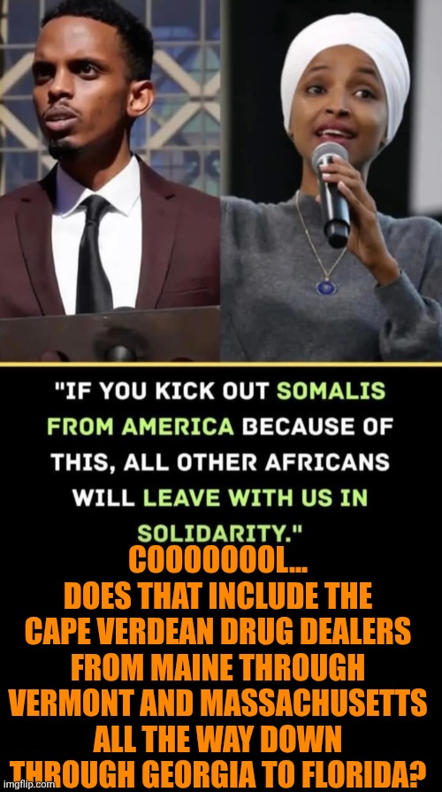 Funny | Coooooool... Does that include the Cape Verdean drug dealers from Maine through Vermont and Massachusetts all the way down through Georgia to Florida? | image tagged in funny,politics,fraud,african,united states,government | made w/ Imgflip meme maker