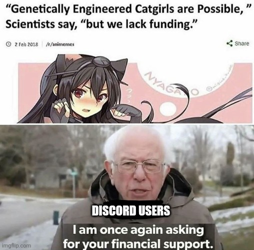 Best investment of 2026? | Discord users | image tagged in bernie catgirls | made w/ Imgflip meme maker