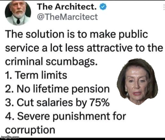 Term limits for criminal scumbags | image tagged in img 21 jpeg,pelosi,scumbag | made w/ Imgflip meme maker