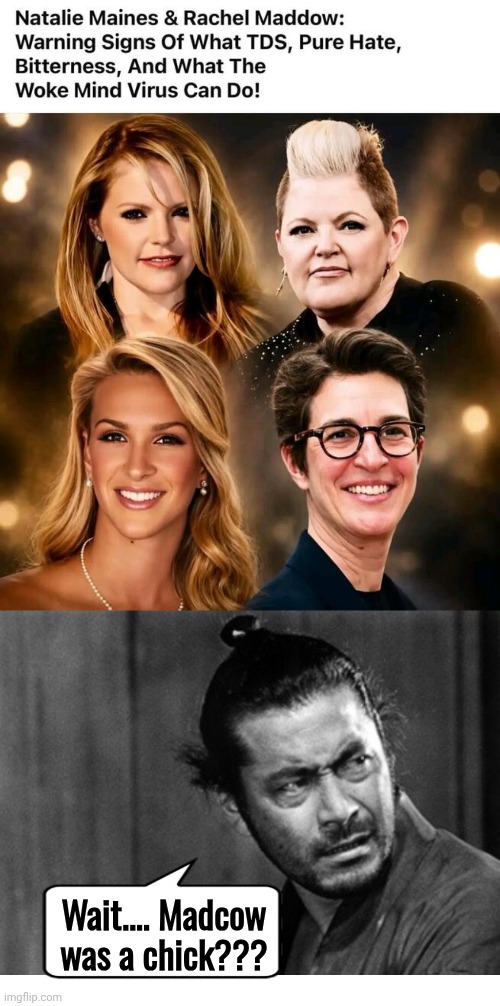 Madcow was a chick | Wait.... Madcow was a chick??? | image tagged in img 1 jpeg,incredulous samurai,sombrero,mad,cow | made w/ Imgflip meme maker
