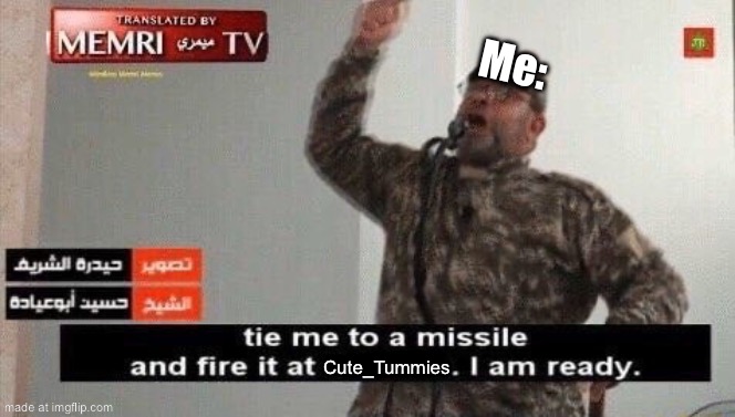 This raid post is little bit political (Raiding) | Me:; Cute_Tummies | image tagged in tie me to a missile and fire it at tel-aviv | made w/ Imgflip meme maker
