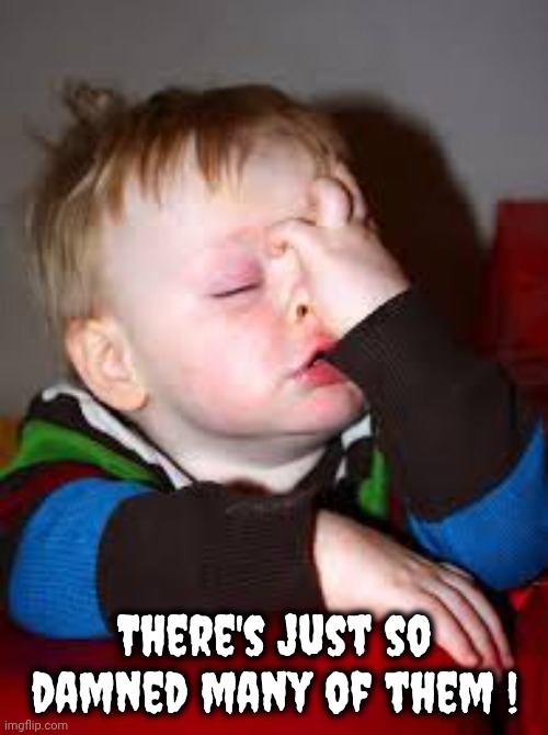 There's just so damned many of them ! | image tagged in exasperation | made w/ Imgflip meme maker