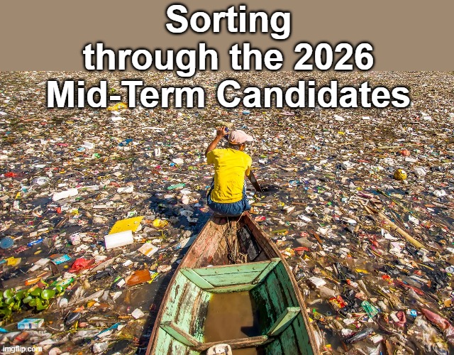 Pretty much both sides | Sorting through the 2026 Mid-Term Candidates | image tagged in mid term candidates meme | made w/ Imgflip meme maker