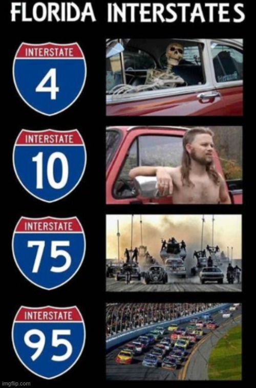 Florida drivers are a different breed | image tagged in meanwhile in florida,florida,go,miami,hurricanes | made w/ Imgflip meme maker