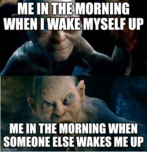 Gollum | me in the morning when I wake myself up; me in the morning when someone else wakes me up | image tagged in gollum | made w/ Imgflip meme maker