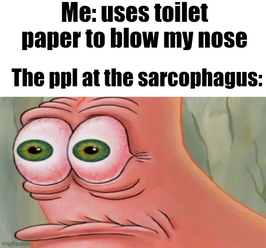 Patrick Staring Meme | Me: uses toilet paper to blow my nose; The ppl at the sarcophagus: | image tagged in patrick staring meme | made w/ Imgflip meme maker