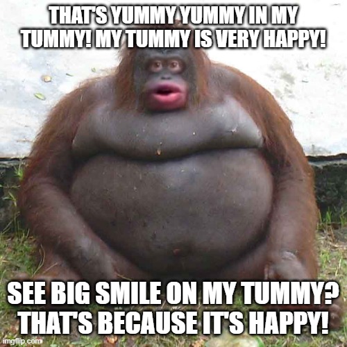 le monke | THAT'S YUMMY YUMMY IN MY TUMMY! MY TUMMY IS VERY HAPPY! SEE BIG SMILE ON MY TUMMY? THAT'S BECAUSE IT'S HAPPY! | image tagged in le monke,remix | made w/ Imgflip meme maker