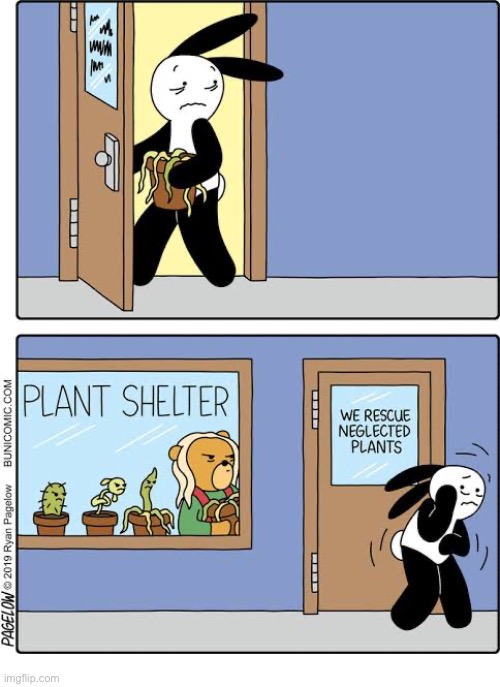 Buni Comics | image tagged in comics,buni comics,plants,shelter,neglected,shame | made w/ Imgflip meme maker