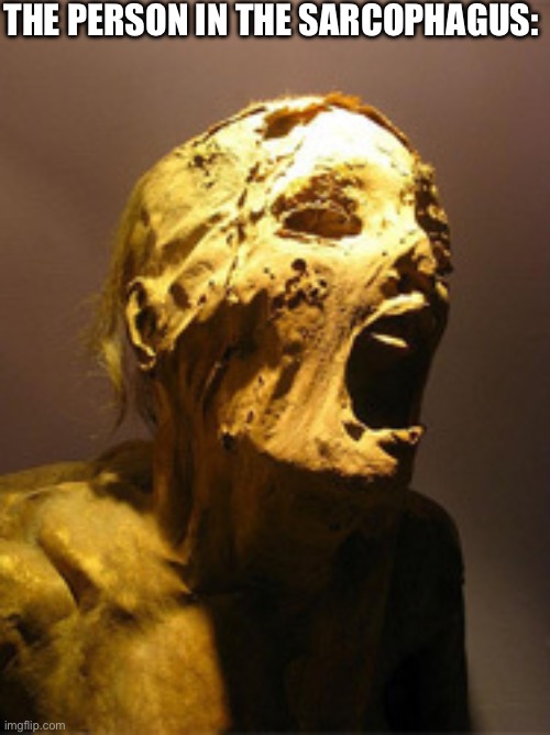 The Mummy | The person in the sarcophagus: | image tagged in the mummy | made w/ Imgflip meme maker