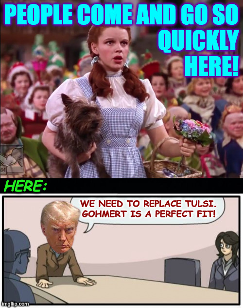 The process is the problem. | people come and go so
quickly
here! here:; we need to replace tulsi. gohmert is a perfect fit! | image tagged in memes,trump cabinet | made w/ Imgflip meme maker
