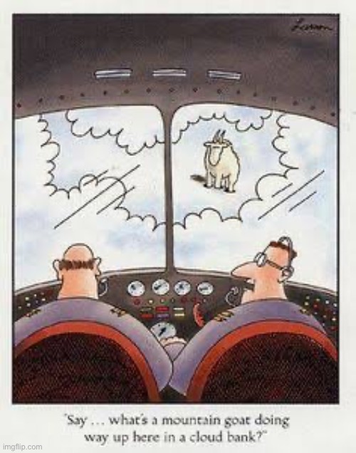 That’s not good… | image tagged in the far side,comics,airplane,pilots,mountain goat,uh oh | made w/ Imgflip meme maker