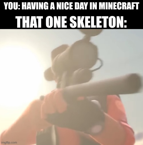 True | you: having a nice day in minecraft; That One Skeleton: | image tagged in screenshot 2026-05-22 7 53 49 pm png | made w/ Imgflip meme maker