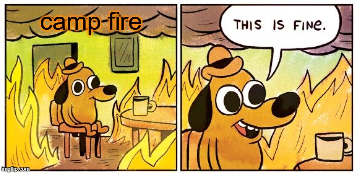 This Is Fine Meme | camp fire | image tagged in memes,this is fine | made w/ Imgflip meme maker