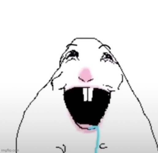 Whats this guys name | image tagged in hamter | made w/ Imgflip meme maker