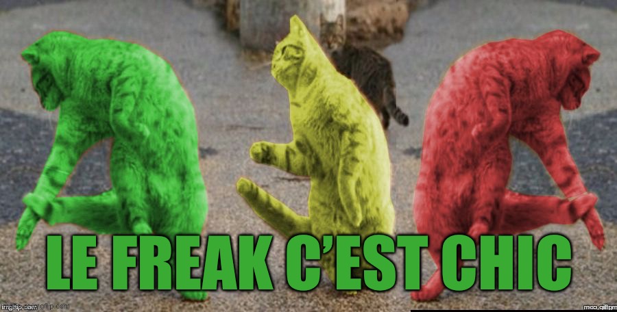 Three Dancing RayCats | Le freak c’est chic | image tagged in three dancing raycats | made w/ Imgflip meme maker
