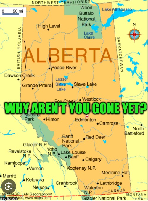 IMG_9216.jpeg | Why aren’t you gone yet? | image tagged in img_9216 jpeg | made w/ Imgflip meme maker