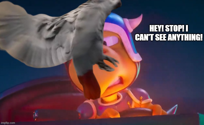 hey! stop! i can't see anything! | made w/ Imgflip meme maker