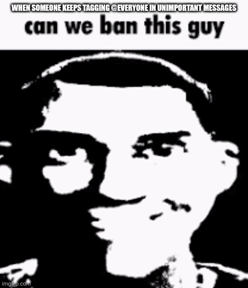 "@eVeRyOnE @eVeRyOnE @eVeRyOnE @eVeRyOnE @eVeRyOnE @eVeRyOnE @eVeRyOnE @eVeRyOnE @eVeRyOnE @eVeRyOnE" | When someone keeps tagging @everyone in unimportant messages | image tagged in can we ban this guy,discord,ping,tag,spam,notifications | made w/ Imgflip meme maker