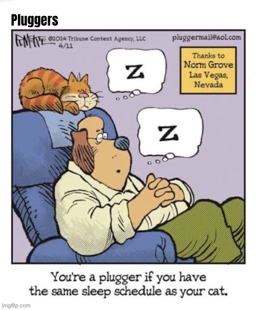 It sure seems that way | Pluggers | image tagged in cats,comics,pluggers,the same,sleep,schedule | made w/ Imgflip meme maker