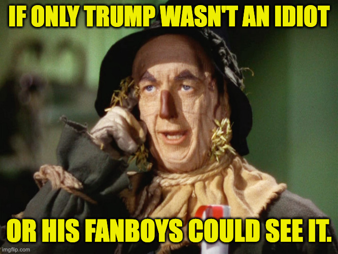 If I Only Had A Brain | if only trump wasn't an idiot or his fanboys could see it. | image tagged in if i only had a brain | made w/ Imgflip meme maker