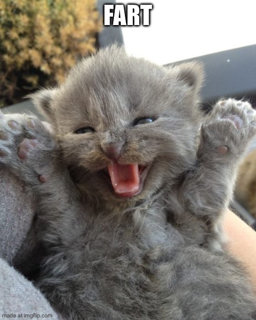 Yay Kitty | Fart | image tagged in yay kitty | made w/ Imgflip meme maker