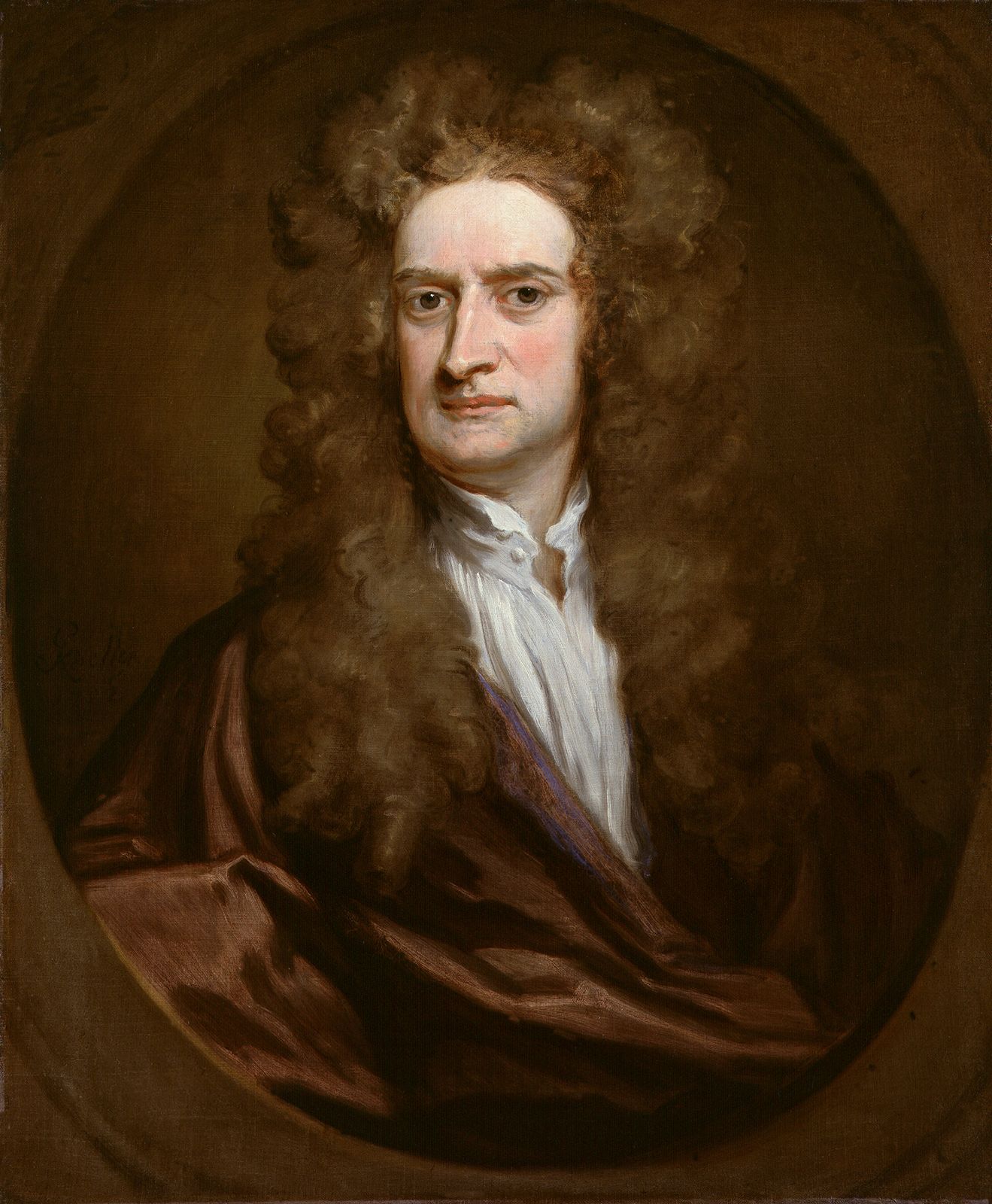 Newton Blank Meme Template