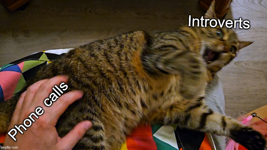 Touch-Averse Cat | Introverts; Phone calls | image tagged in cats,funny cats,introvert,phone call,phone,scared cat | made w/ Imgflip meme maker