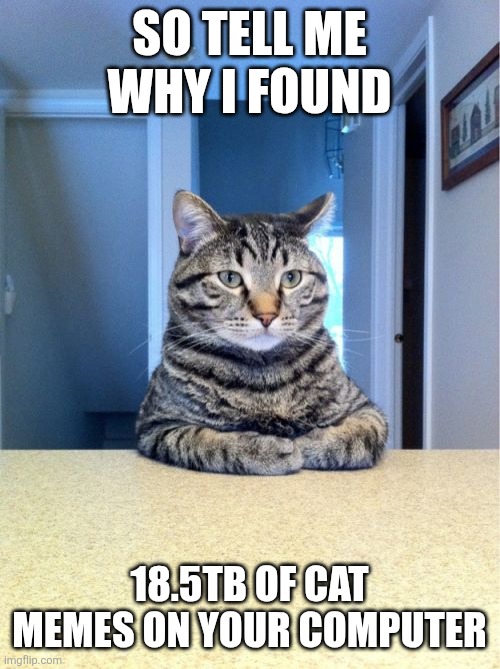 I like cats | So tell me why I found; 18.5tb of cat memes on your computer | image tagged in memes,take a seat cat,cats,funny | made w/ Imgflip meme maker